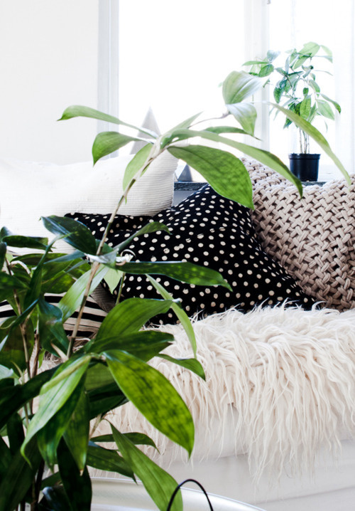 Interior design #interior #design