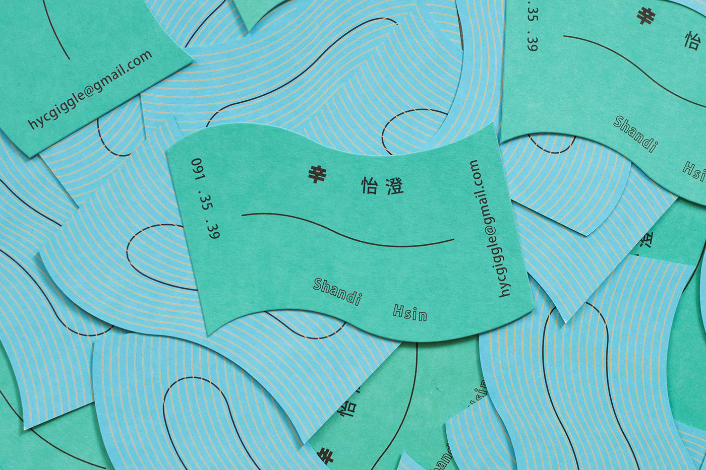 Shandi Hsin Business Card