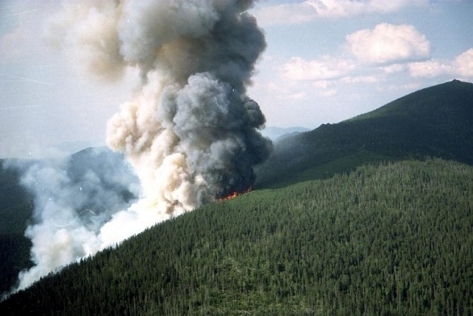 Russian Carpet: Daily inspiration, trends, mood board. Architecture, art, design, fashion, photography. #inspiration #burn #board #russian #photography #fire #carpet #mood #flame