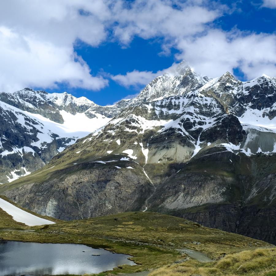 Neon Waves Wallpaper Pack