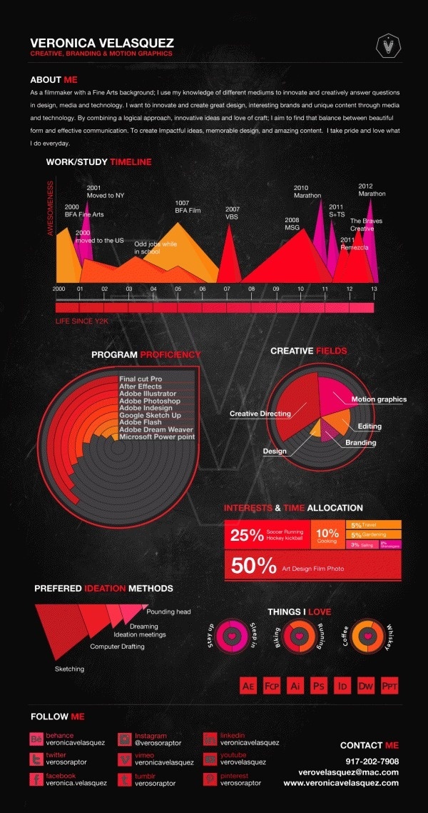 CV Infographic on Behance