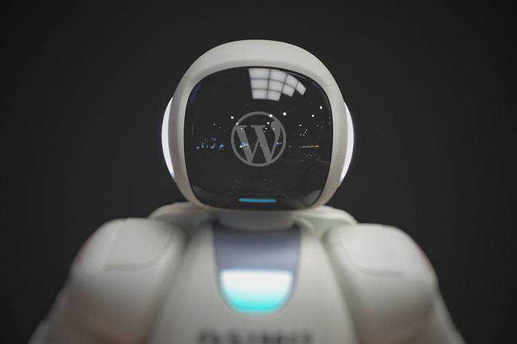 Should You Use WordPress Auto Updates?