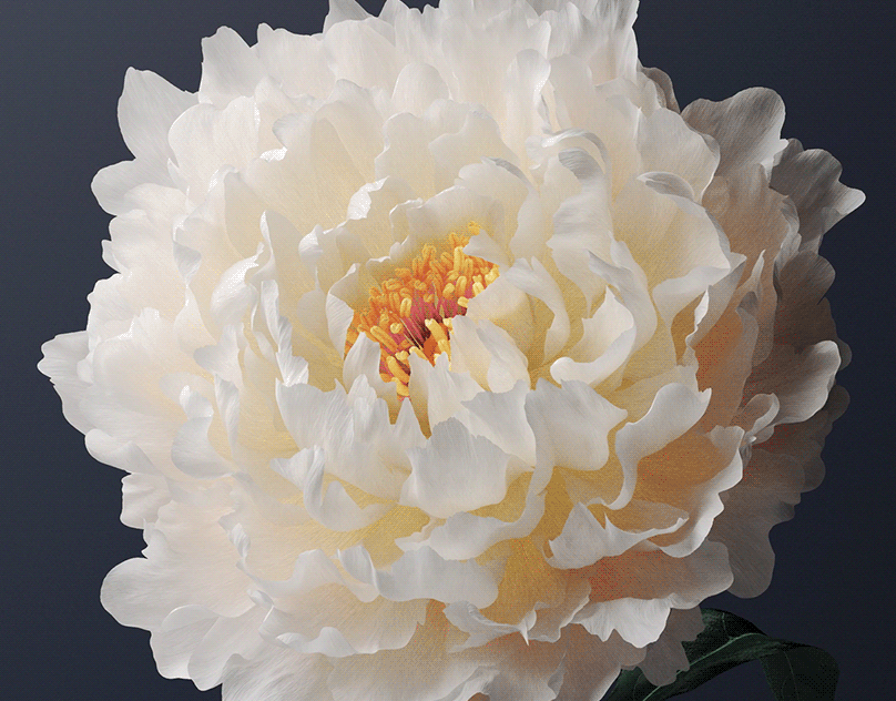 Kinetic Wallpaper - Vivo OriginOS