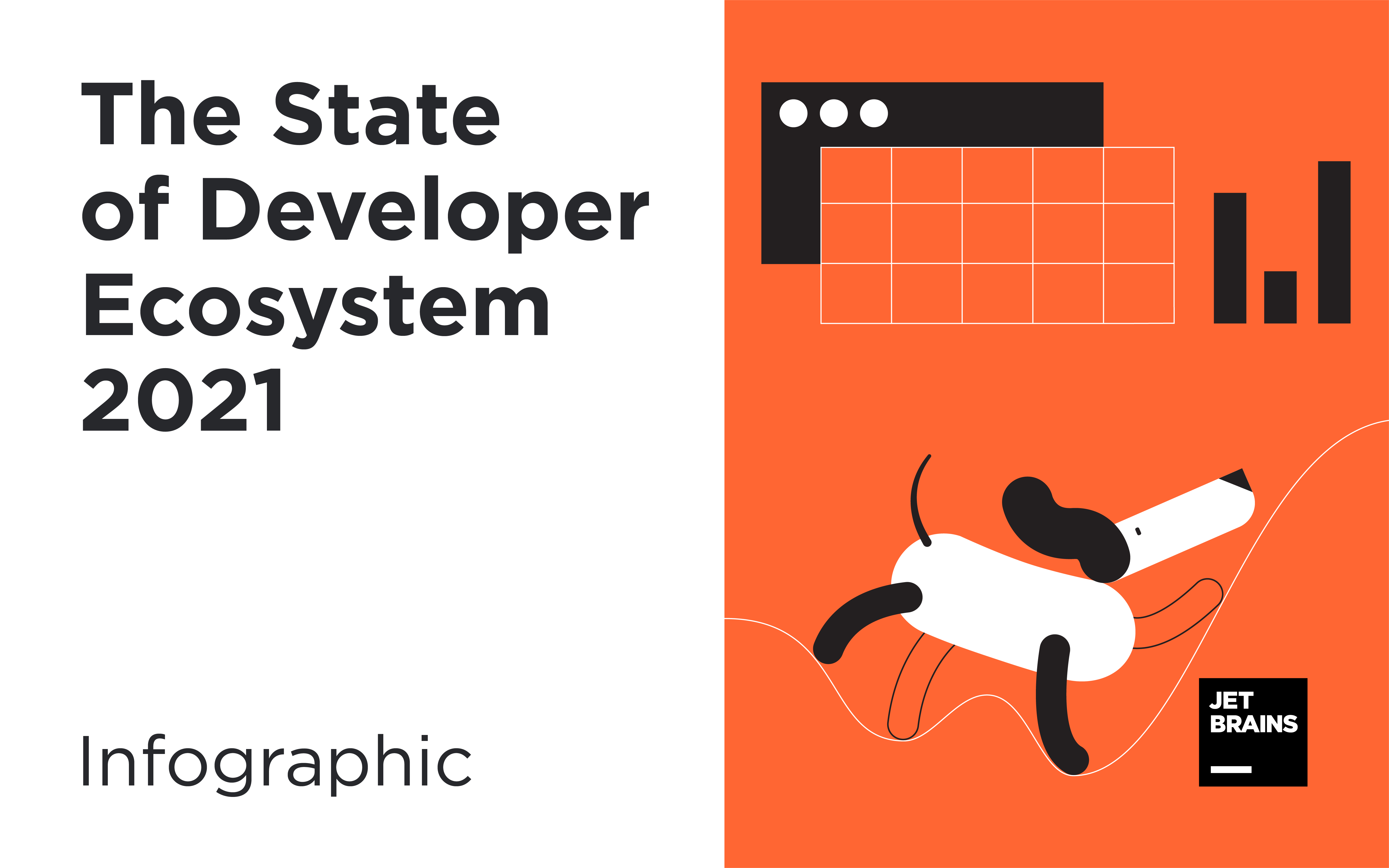 The State of Developer Ecosystem in 2021 Infographic
